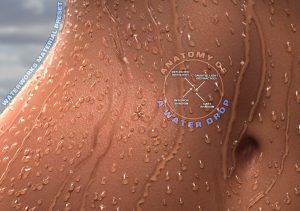 Macrow Wet Maps Anatomy of a Drop