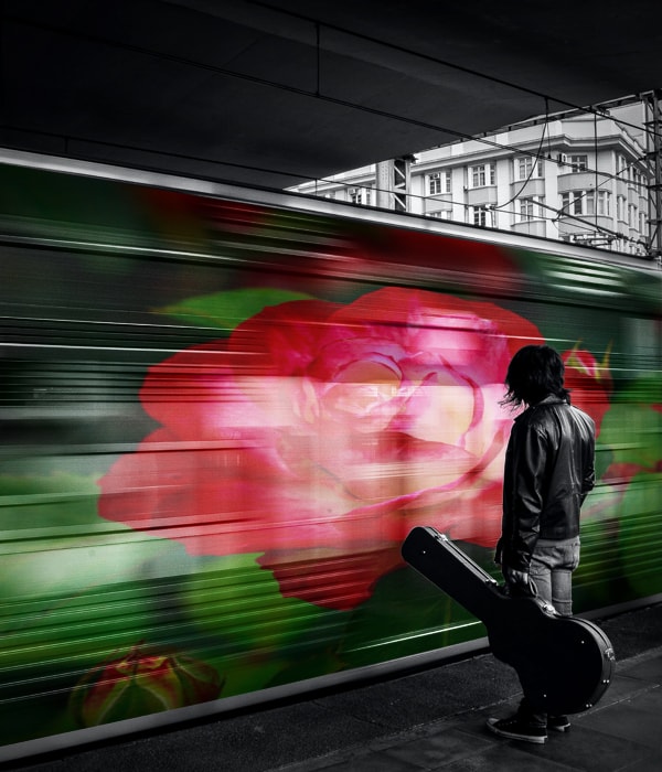 A street musician stands on a covered platform, while a tram zooms by, projecting on it's side a giant image of a red and pale pink rose.