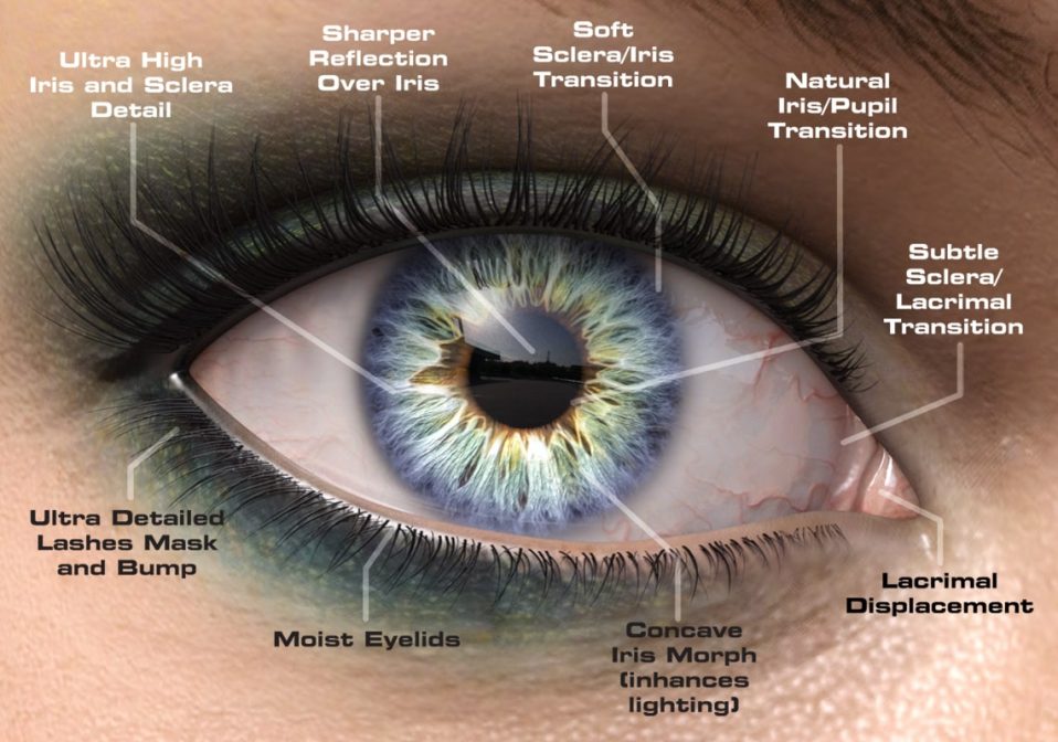 Macro Eyes Product Features